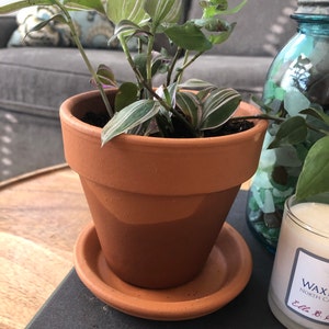 Jenny added a photo of their purchase