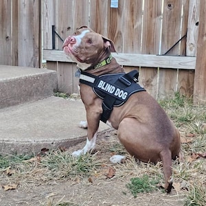 misty added a photo of their purchase