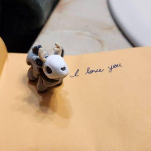 Hunter added a photo of their purchase