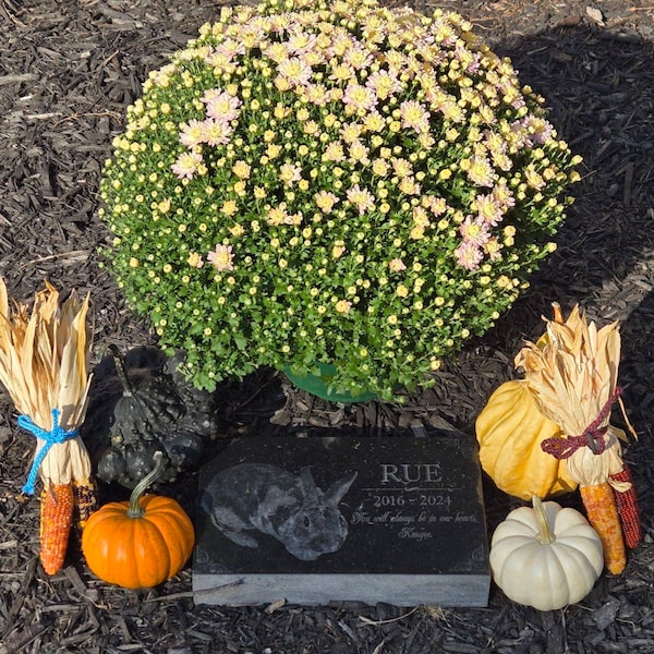 Peter Rabbit Headstone Rabbit Burial Stone | Pet Headstone Photo | Engraved Granite Outdoor ...