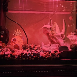 Danni added a photo of their purchase