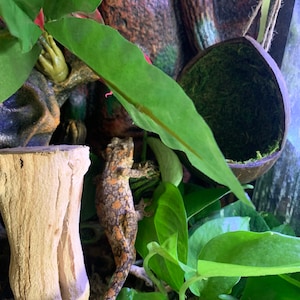 Heather added a photo of their purchase