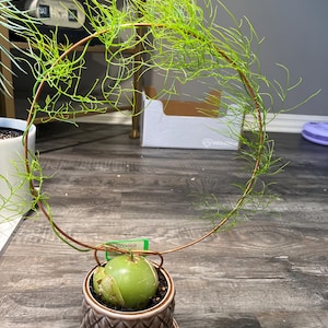 Jennifer added a photo of their purchase