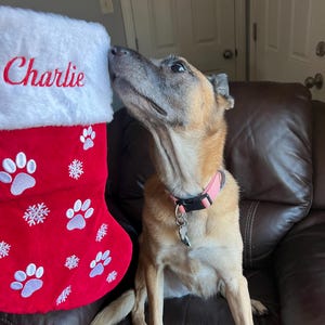 Natalie added a photo of their purchase