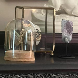 Sergio added a photo of their purchase
