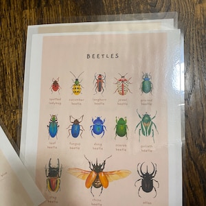 Viviana ha añadido una foto de su compra