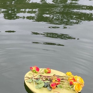 Alla ha aggiunto una foto del proprio acquisto