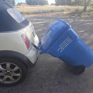 Ginger ha añadido una foto de su compra