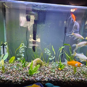 Laura added a photo of their purchase