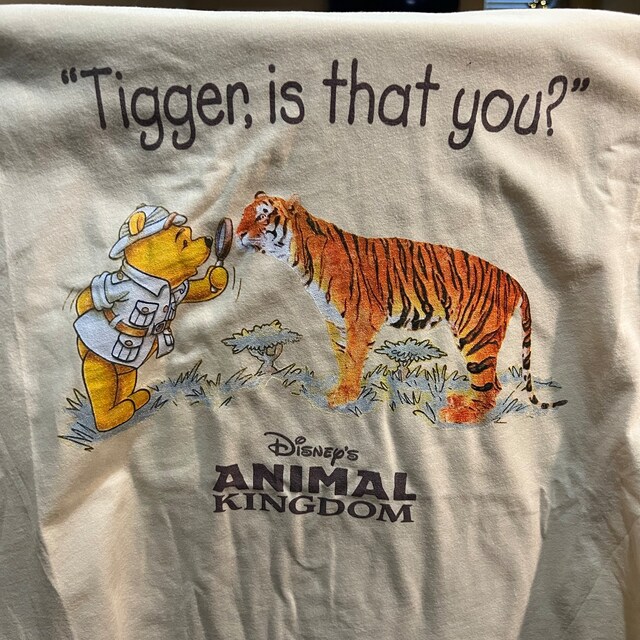 Animal Kingdom Vintage Style Tigger is That You Pooh WDW Parks Unisex Tee -  Etsy