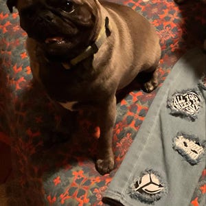Natalie added a photo of their purchase