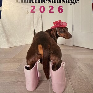 Alexis hat ein Foto des gekauften Artikels hinzugefügt