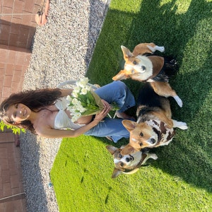 Priscilla added a photo of their purchase