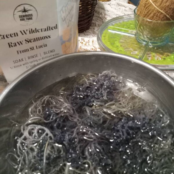 Sea Moss/Irish Moss - Wildcrafted - 100% Natural, Makes 120+ Oz Of Seamoss Gel Imported From St Lucia Dr Sebi 8oz