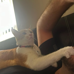 Ashley added a photo of their purchase