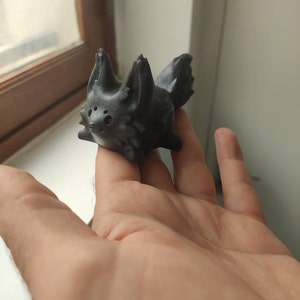 Lézard Coco added a photo of their purchase