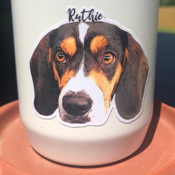 Pet photo christmas card