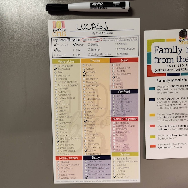 101-foods-checklist-fridge-magnet-for-baby-led-weaning-from-101-before-one-etsy