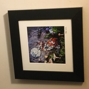 Carolyn added a photo of their purchase