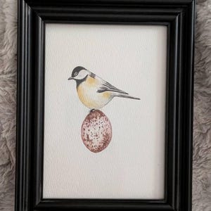 Elizabeth added a photo of their purchase