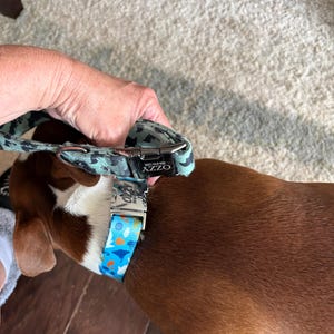 Kala a ajouté une photo de son achat