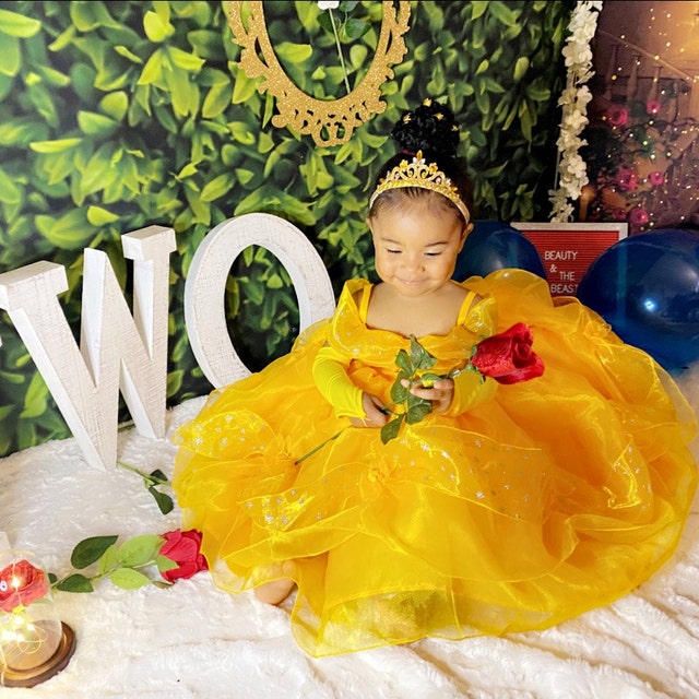 Princess Belle Dress for Birthday Costume or Photo Shoot Belle Dress Outfit Birthday Dress Belle Costume Princess Dress for Birthday Party
