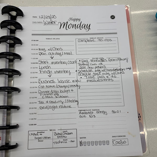 Daily Happy Planner Classic / Big / Mini Printable Templates, Day at a ...