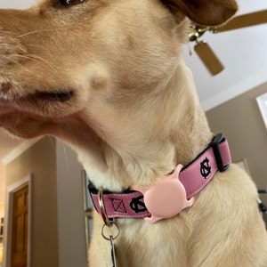 Abigale added a photo of their purchase
