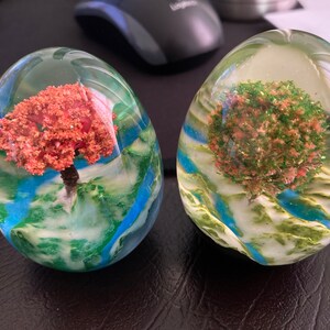 Terra Grigas added a photo of their purchase