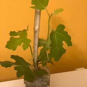 susan ha añadido una foto de su compra