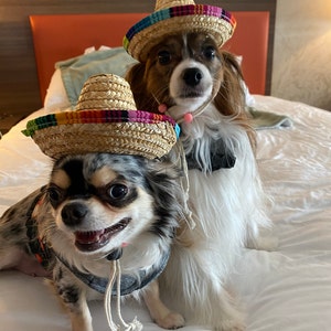 Tiffy added a photo of their purchase