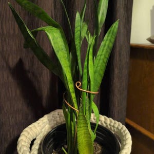 Shawna added a photo of their purchase