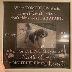 Sarah added a photo of their purchase