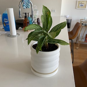 Kaity added a photo of their purchase