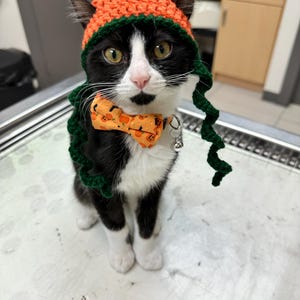Dawn ha añadido una foto de su compra