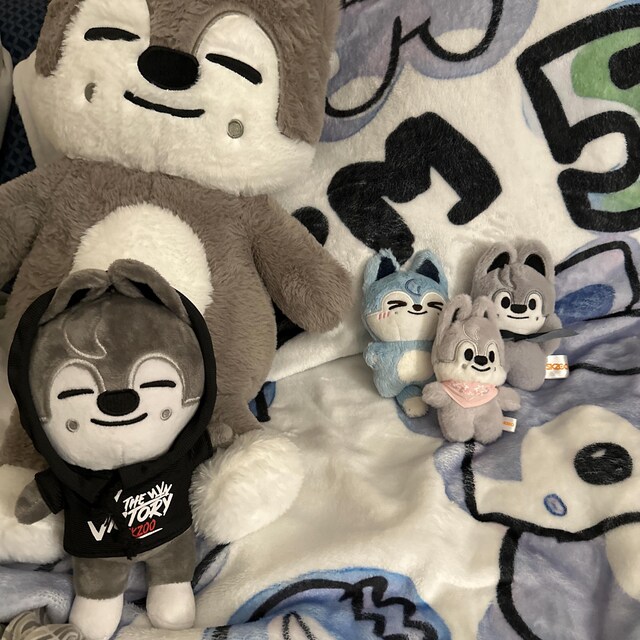SKZOO Stray Kids Plush Toy - Wolf Chan Kpop Plush, Stray