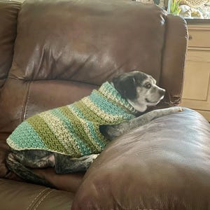 Molly added a photo of their purchase