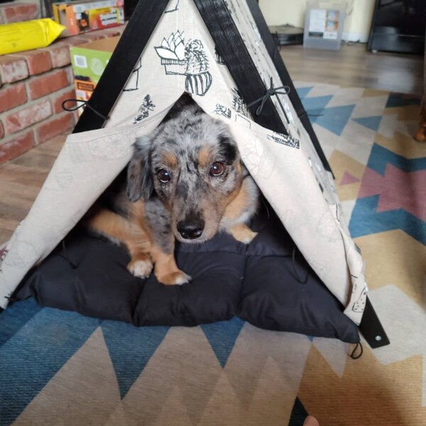 Black Dog Bed With Pompoms. Boho Chic Dog Teepee Tent. Bohemian French