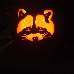 Amber heeft een foto van zijn/haar aankoop toegevoegd