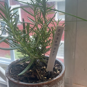 Veronica added a photo of their purchase