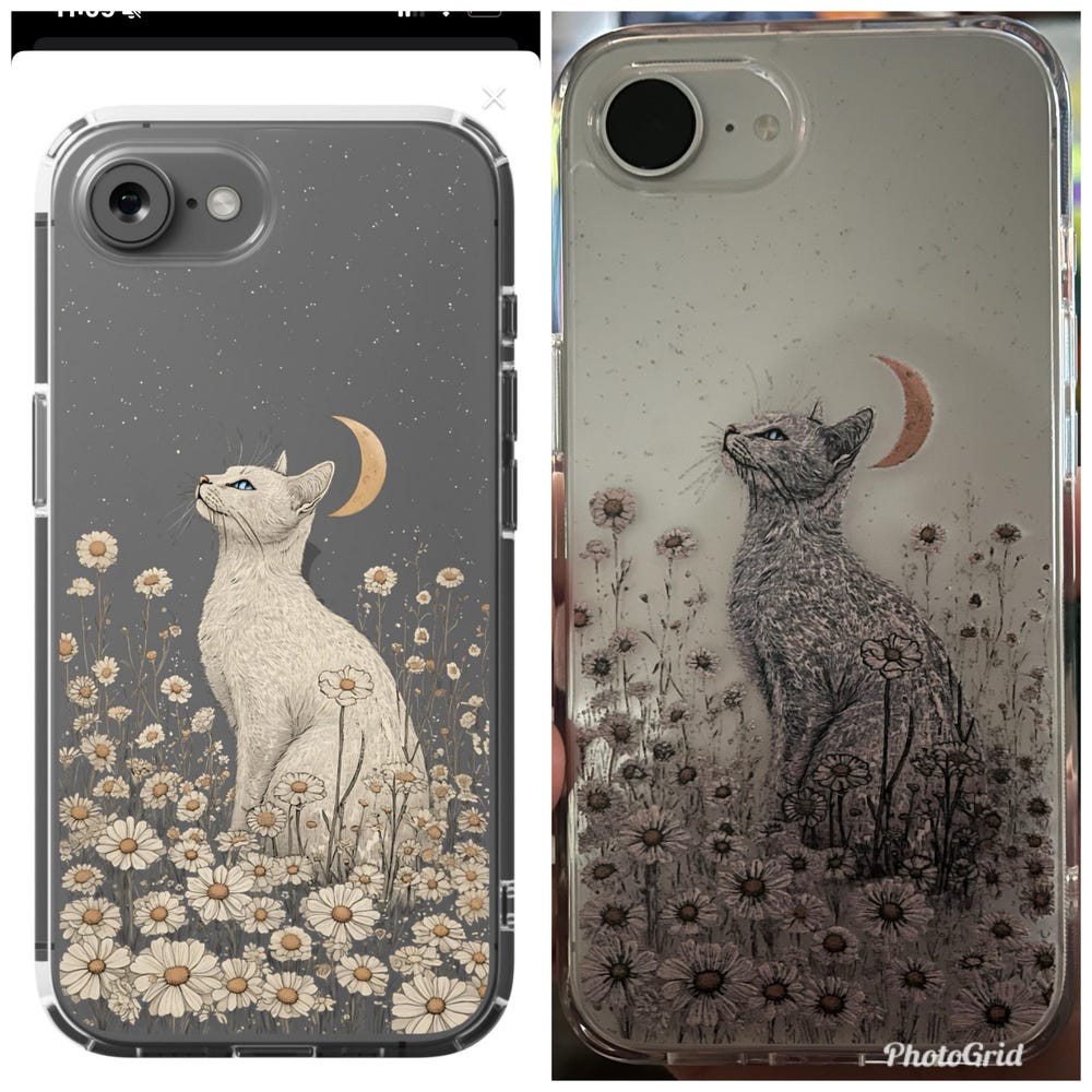 Customer Review Photo #5