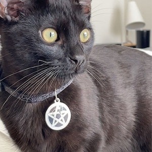 Gia added a photo of their purchase