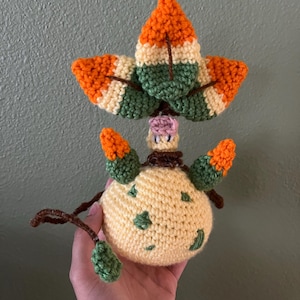 Lindsey ha añadido una foto de su compra