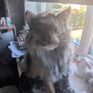 手作りの三毛猫ぬいぐるみ：リアルなコンパニオンギフト（受注生産