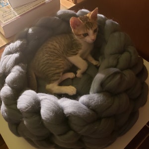KuMi added a photo of their purchase