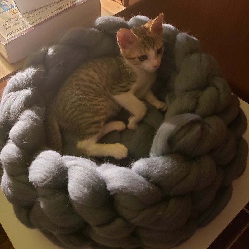 Customer photo of Merino Wool Pet Bed