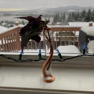 CollieFlower added a photo of their purchase