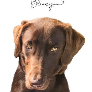 Aimee added a photo of their purchase