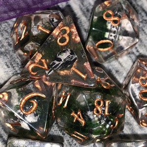 Haley added a photo of their purchase