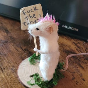 Ruth added a photo of their purchase